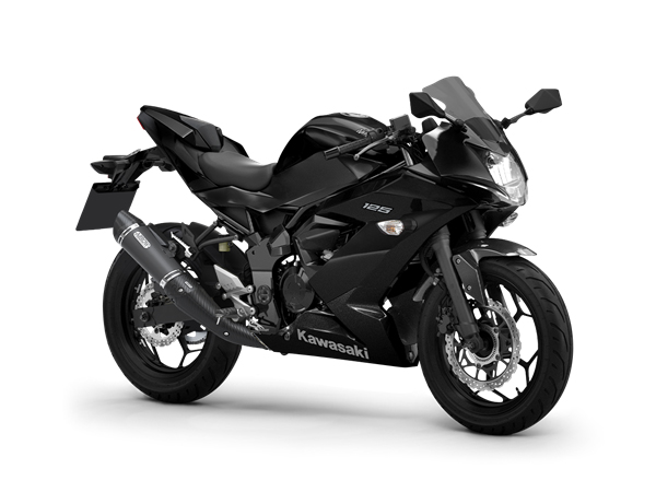 Kawasaki Ninja 125 Performance